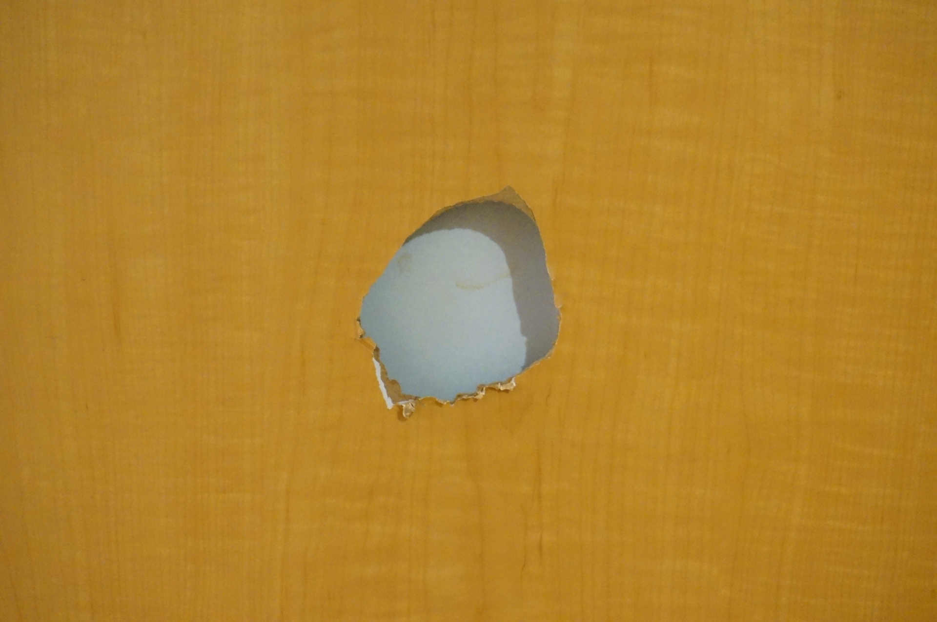 内装レスキュー郡山・大家さんお助け隊　ドア補修イメージ画像